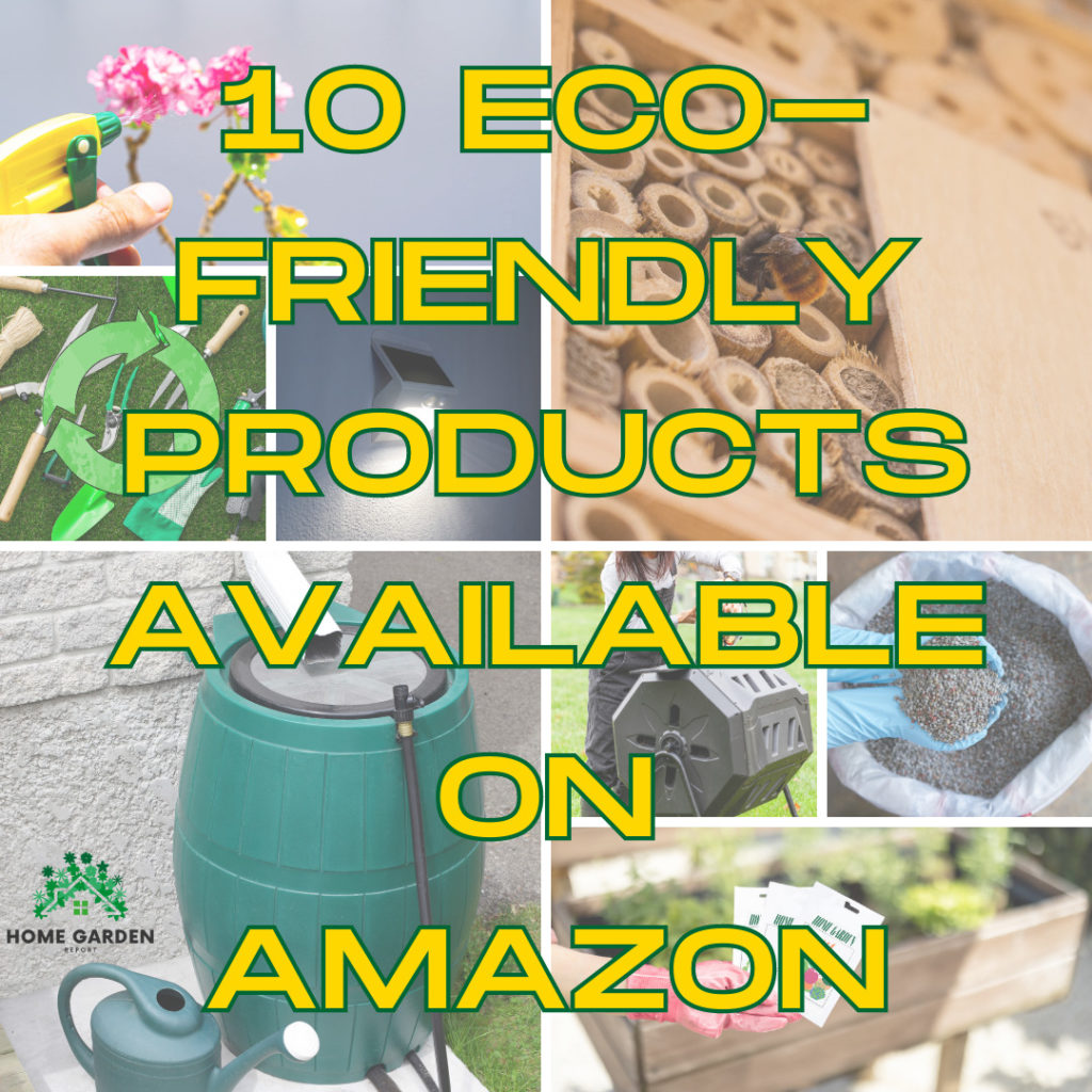 10 Eco-Friendly Products Available on Amazon