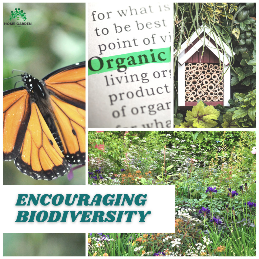 Encouraging Biodiversity, organic (Climate-Resilient Garden)