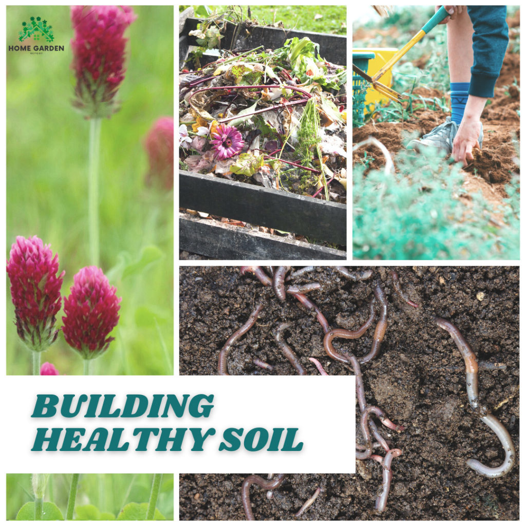 Building Healthy Soil (Climate-Resilient Garden)