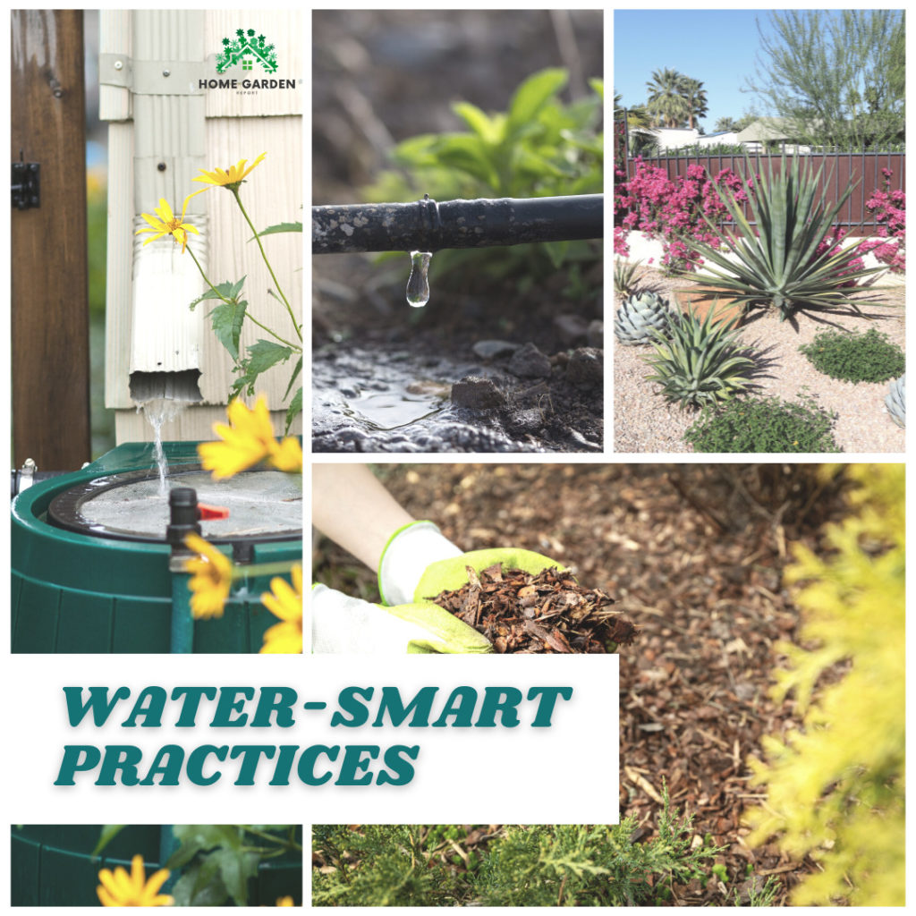 Water-Smart Practices (Climate-Resilient Garden)