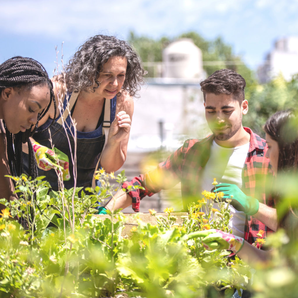 community of gardeners working towards a greener future (climate-resilient garden)