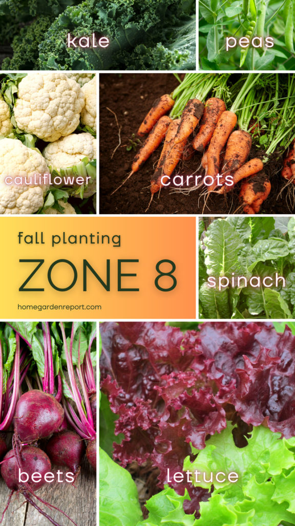 Fall Planting Zone 8
